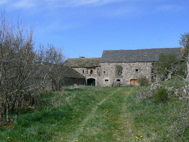 P1040337.JPG