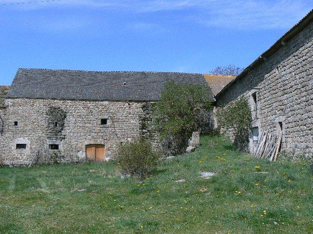 P1040338.JPG