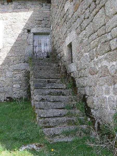 P1040341.JPG