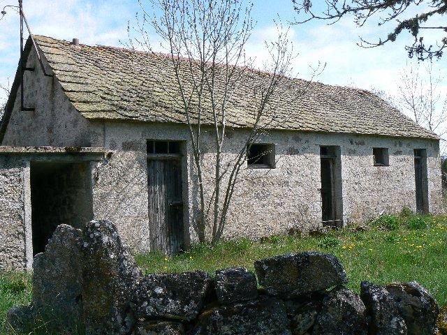 P1040342.JPG