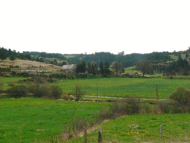 P1040428.JPG