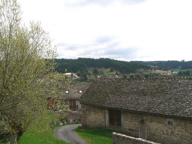 P1040444.JPG