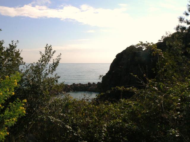 P1030867.JPG