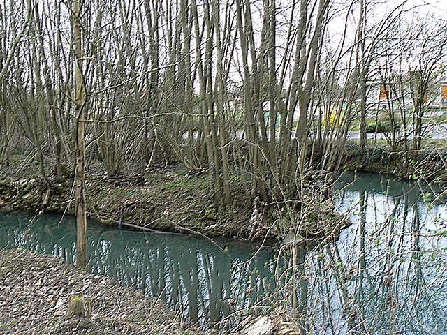 P1040052.JPG