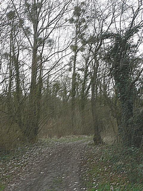 P1040070.JPG