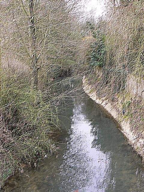 P1040071.JPG