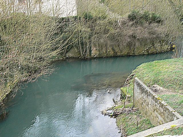 P1040074.JPG