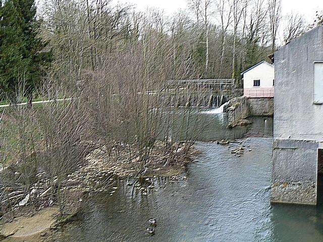 P1040079.JPG
